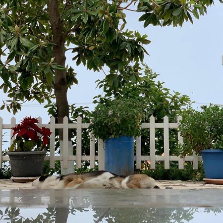 Piqeras Holiday Home Ali מראה חיצוני תמונה